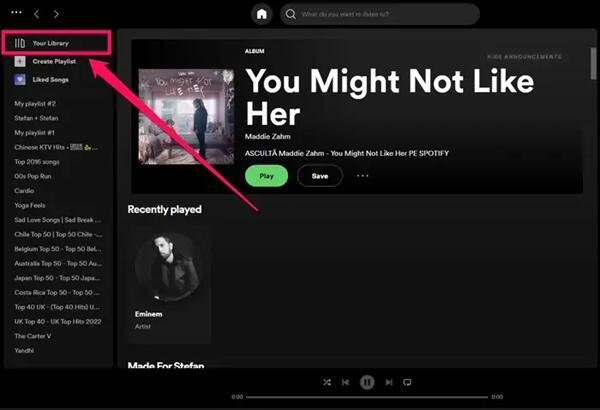 Cómo Descargar Canciones en Spotify (1)
